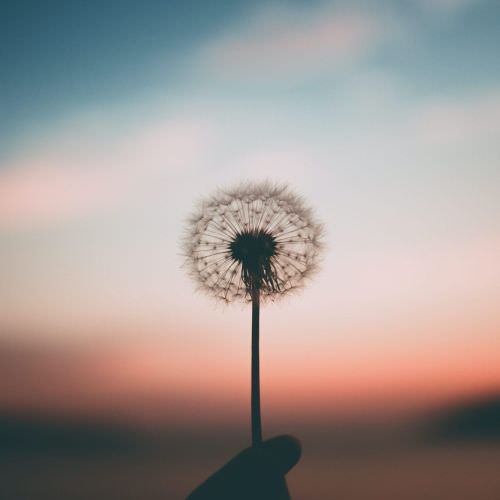 L’Hypnose Sajece L’Hypnose Sajece